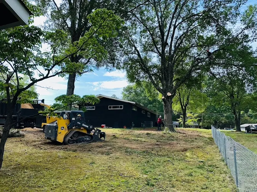 Use o f a Machine for Tree Removal