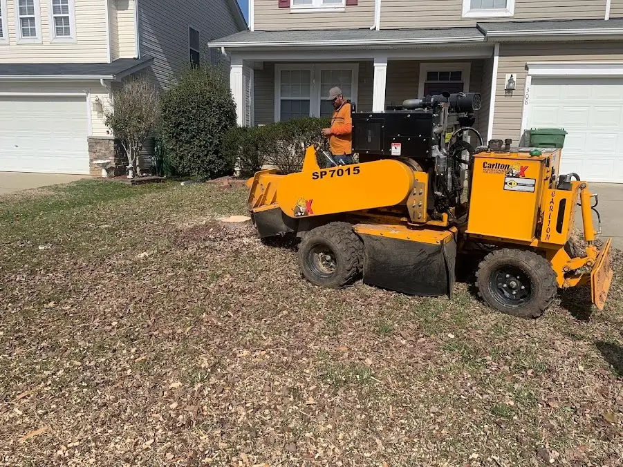 Stump Grinding Services