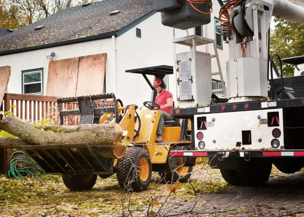 Stump Grinding Equipment