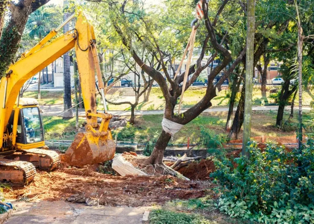 Land clearing service equipment in action